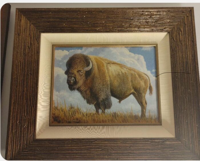 Big Sky Bison