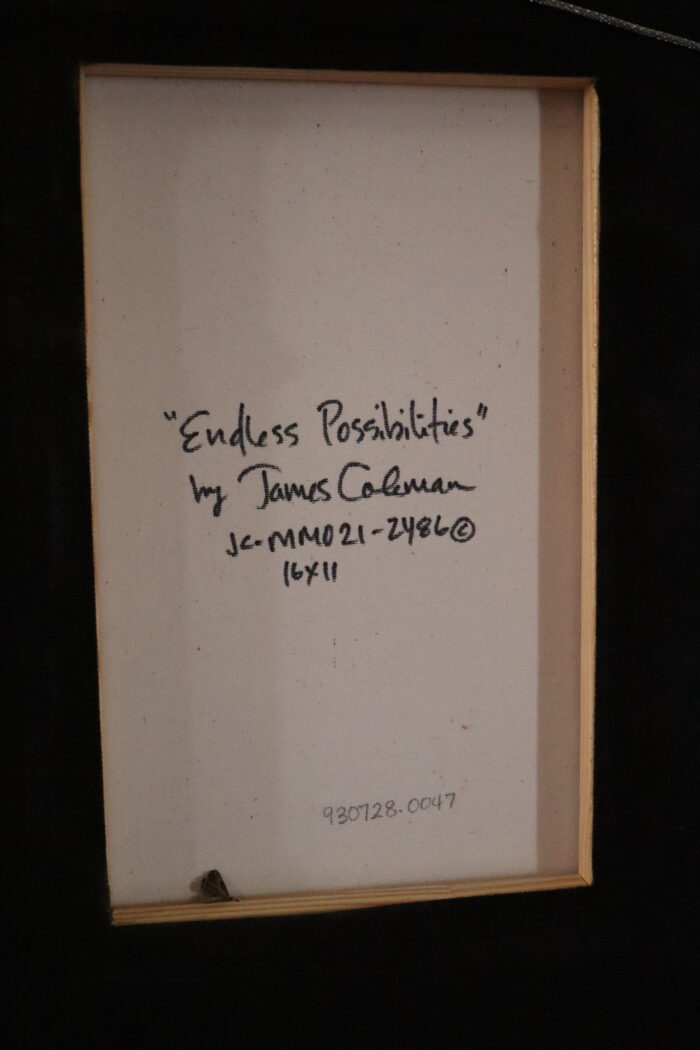 James Coleman "Endless Possibilities" - Image 5